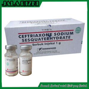 Ceftriaxone Sodium - 1 BOX isi 10 Vial @1 gram